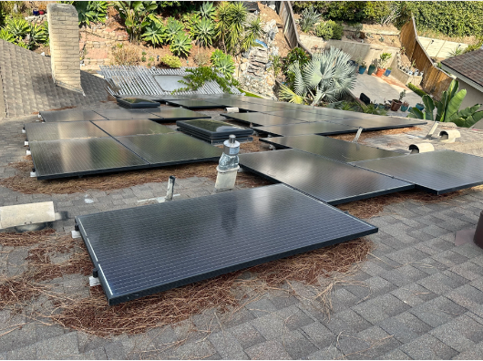 Solar panels with pine needle debris on the panel surface